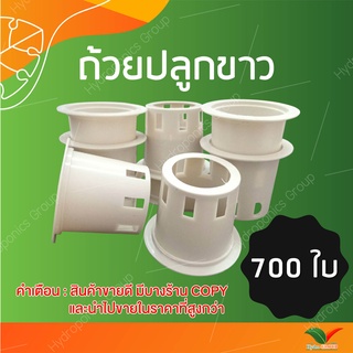 ถ้วยปลูกผักไฮโดรโปนิกส์ใช้ซ้ำ 1 ชุด จำนวน 700  by hydroponicgroup