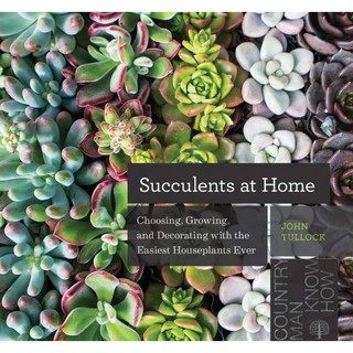 Succulents at Home : Choosing, Growing, and Decorating with the Easiest Houseplants Ever [Paperback]