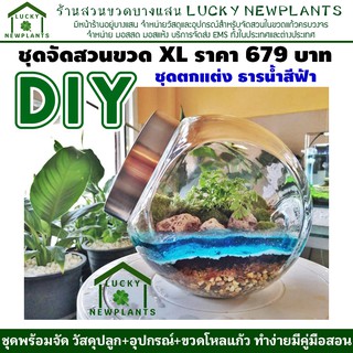 สวนในขวดแก้ว ชุดสวนขวดแก้ว DIY ไซต์ XL-679฿ ชุดตกแต่งธารน้ำสีฟ้า