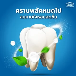 น้ำยาบ้วนปาก สูตรไวท์โพรเทคชั่น ปราศจากแอลกฮอลล์ ลดคราบพลัค ฟันขาว ขนาด 500 มล. MyBacin