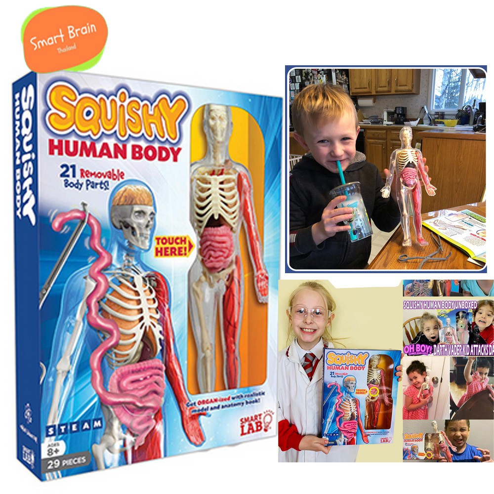 *ส่งทุกวัน* Anatomy SmartLab Toys Squishy Human Body Educational Toy ร่างกายมนุษย์