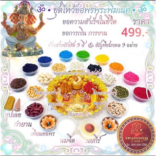 ชุดไหว้ขอพรพระพิฆเนศ ขอความสำเร็จ 499