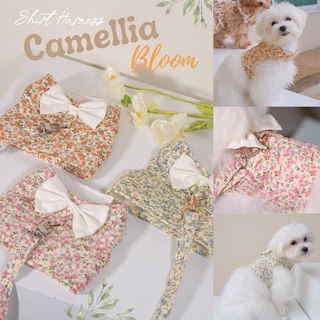 สายจูงสัตว์เลี้ยง หมาเเละเเมว MOONIES PET002: Camellia Bloom สายจูงผู้ชาย(โบว์สีขาว)