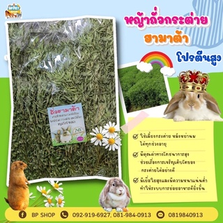 หญ้าถั่วฮามาต้า เกรด A หญ้ากระต่าย อาหารกระต่าย ขนาด 100g.