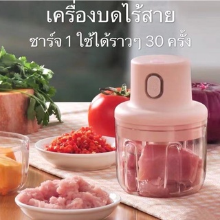 SYLเครื่องบดเนื้อไฟฟ้า ไร้สาย  มินิสเตนเลส บดกระเทียม บดเนื้อ