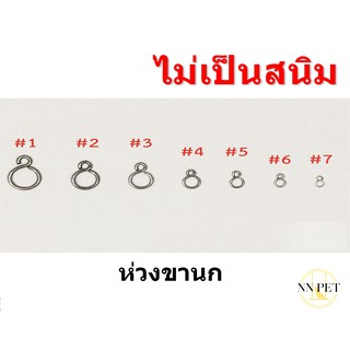 ห่วงขานกแก้ว ตัวเอส (S)