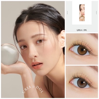 🌼พร้อมส่ง IDOLLENS •YURIAL•1Day(กล่อง5คู่)