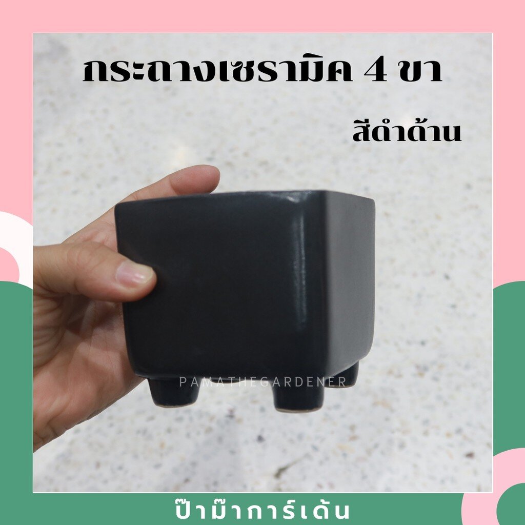 มุมมอง 2