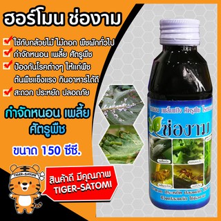 ช่องาม ยาป้องกันหนอนเพลี้ยและแมลง ขนาด 150ซีซี.(Pesticides)สารป้องกันศัตรูพืช สไม้ดอกไม้ประดับ พืชทุกชนิด