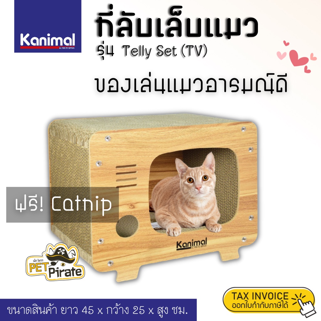 Kanimal ที่ลับเล็บแมว ทรงทีวี ของเล่นแมว บ้านแมว ที่ข่วนเล็บอุโมงค์ทีวี ที่ฝนเล็บแมว ขนาด 45x25x38 ซม. แถมฟรี! Catnip