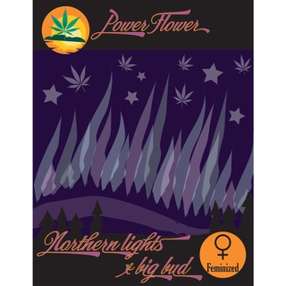 เมล็ดกัญชา ตัวเมีย Northern Lights x Big Bud Autoflowering Feminized Cannabis Seeds เพศเมียออโต้ EU/US