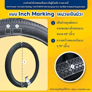 ยางนอกจักรยาน KENDA 26x1.95 (50-559) นิ้ว ลายวิบาก K1177