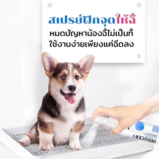 AimayaPet 120ml สเปรย์ฝึกการขับถ่าย ให้ฉี่ ห้ามฉี่ สำหรับสัตว์เลี้ยงสุนัขหมาแมวปลอดภัยไร้สารตกค้าง