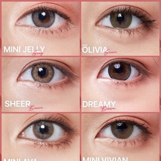 💖Kitty Kawaii สวยทุกลาย ใส่สบายทุกที่ mini Jelly Sheer Olivia Dreamy Ava Vivian Bom Gray Brown Green Bigeye บิ๊กอาย มินิ