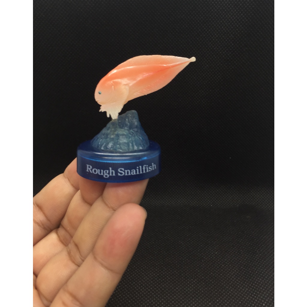 ฟิกเกอร์ ปลาน้ำลึก ปลาจิ๋ว miniature fish Kaiyodo The Deep Sea Odyssey Bottle Cap Mini Figure Fish Rough Snailfish Cute