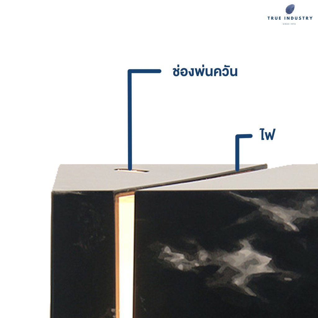 True Industry รูปที่ 5