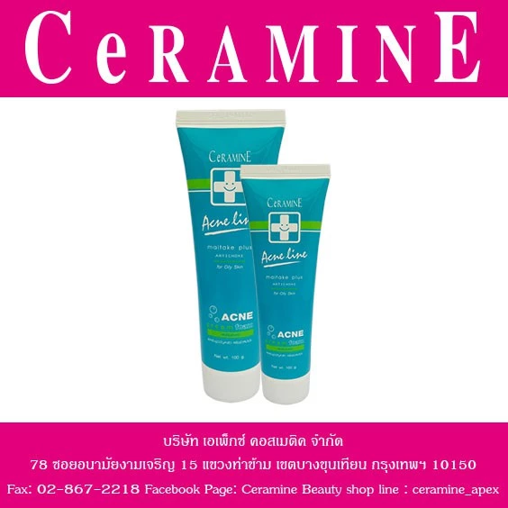 แอคเน่ ไลค์ ไมตาเกะ พลัส อาร์ติโช๊ค แอคเน่ โฟม (ACNE LINE MAITAKE PLUS ARTICHOKE ANCE FOAM)