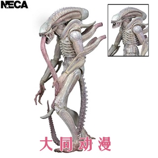 โมเดลฟิกเกอร์ Neca Alien Wars Predator 7th Wave AVP Battle Alien Dog Alien ขนาด 23 ซม. ขยับได้ YZA2