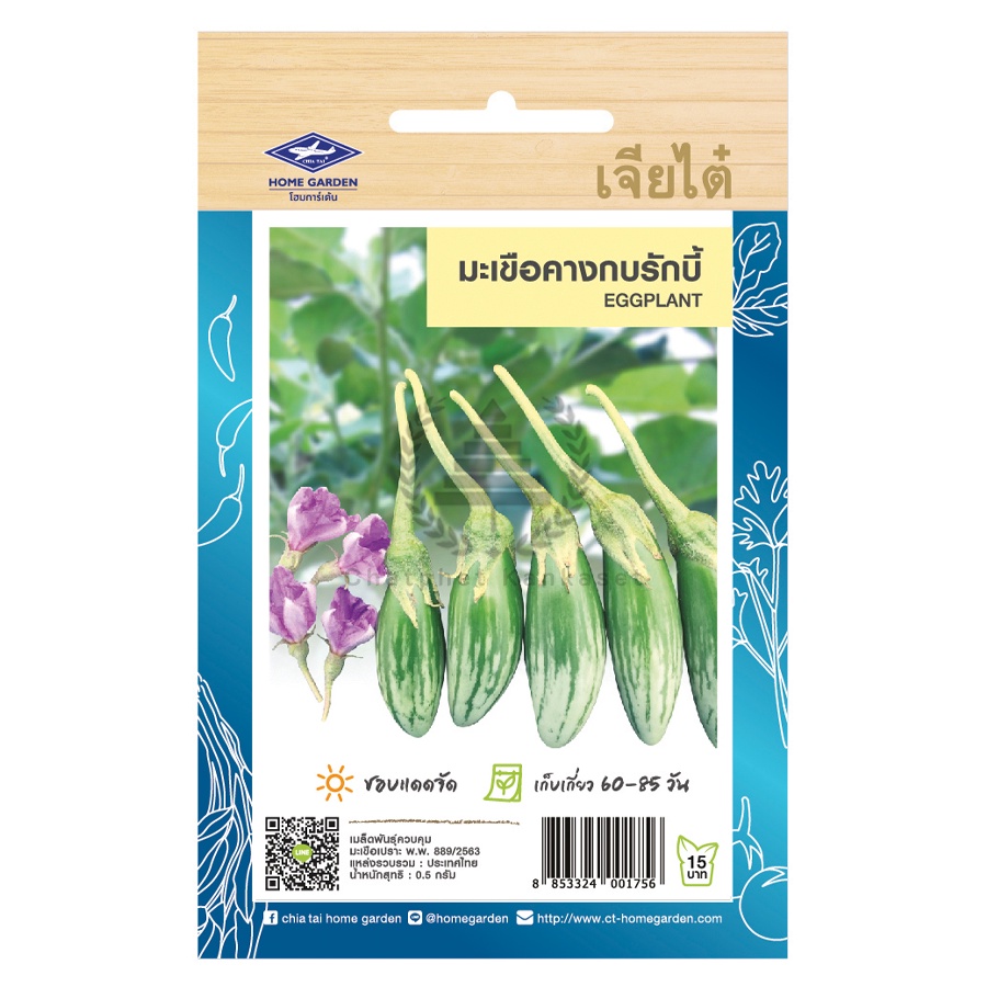 เมล็ดพันธุ์ มะเขือคางกบ รักบี้ 0.5 กรัม (150 เมล็ด)/ซอง ตราเจียไต๋
