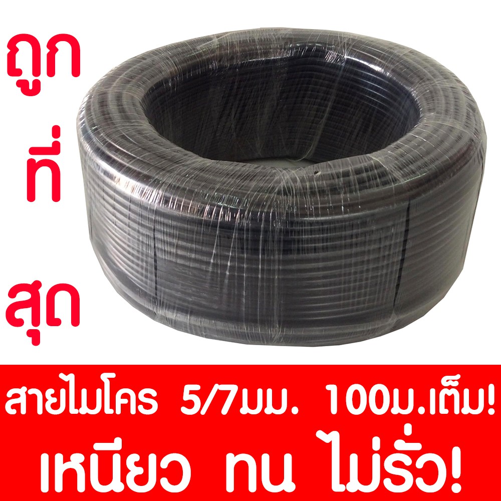 My Image 89
