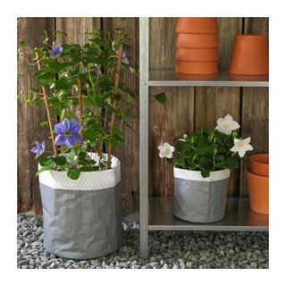 KOLOK กระถางปลูกต้นไม้ Plant pot /2 ใบ (เทา)