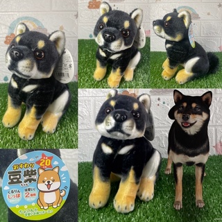 ตุ๊กตาน้องหมาชิบะ สัตว์เหมือน สำหรับตั้งโชว์ Mameshiba Inu ขนาด 20cm ป้ายห้อย