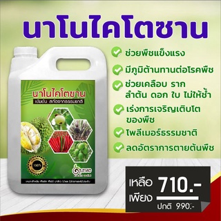 ไคโตซาน 5 ลิตร ฮอร์โมนพืชทางใบ พืชแข็งแรงโตเร็ว ทนทานต่อโรคให้ผลผลิตดี ใช้ร่วมกับปุ๋ยอื่นๆได้ดี