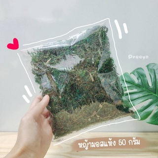 หญ้ามอสแห้ง มอสเทียม 🌿น้ำหนัก 50 กรัม