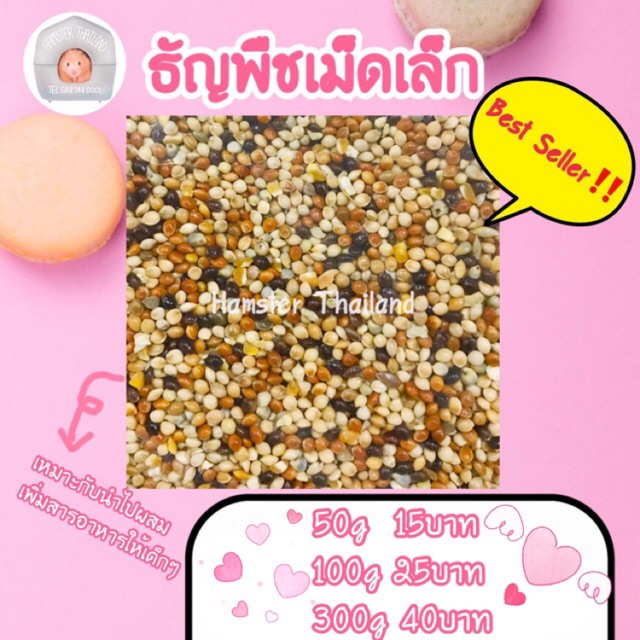 [Hamsterth] มิลเล็ตสเปรย์ พวงมิลเล็ต ธัญพืช ขนม แฮมสเตอร์ อาหาร สำหรับสัตว์ฟันแทะ เม่นแคระ แฟตเทล