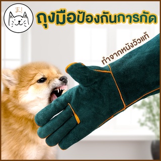 KUMA ま ถุงมือกันกัด ทำจากหนังวัวแท้ หนา3ชั้น ถุงมือฝึกสุนัข ถุงมือฝึกสัตว์เลี้ยง แข็งแรง ทนทาน กันกัด ข่วน ถุงมือป้อนยา