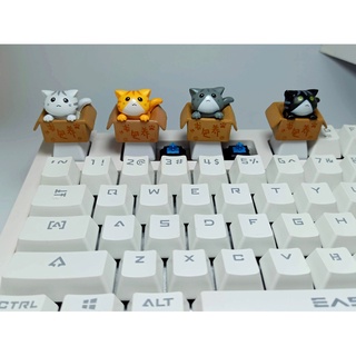 R* PBT ปุ่มกดคีย์บอร์ด OEM Profile R4 สําหรับ Ca