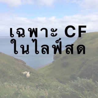 เฉพาะ CF ในไลฟ์สดเท่านั้นน