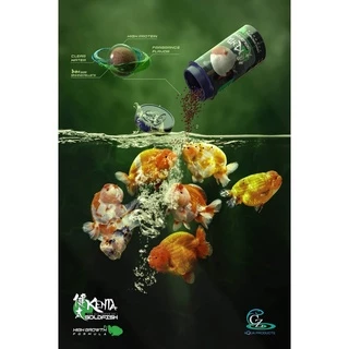 Kenta GoldFish Food อาหารปลาทอง Kenta สูตรขับลม ลดปัญหาท้องอืดเสียการทรงตัว