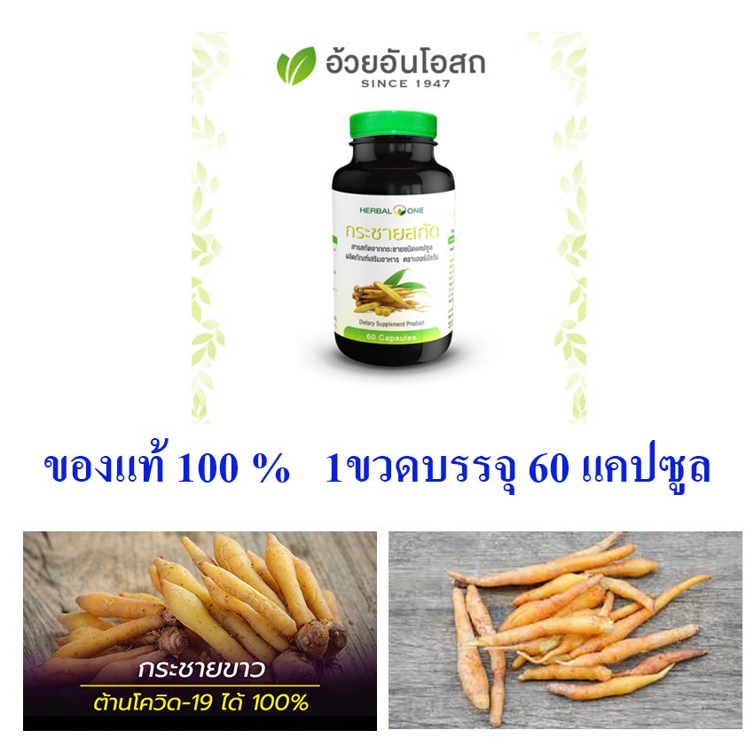 Ъ¢ʡѫ 60 ᤻Ŵ᤻ | Shopee Thailand