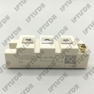 โมดูลเพาเวอร์ SKM100GAR123D IGBT