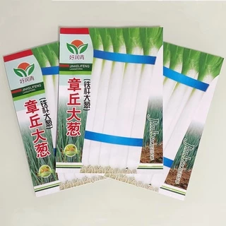 เมล็ดต้นหอมญี่ปุ่น 1,500 เมล็ด ( 4.5 - 5 กรัม ) Japanese Bunching Onion สายพันธุ์OP