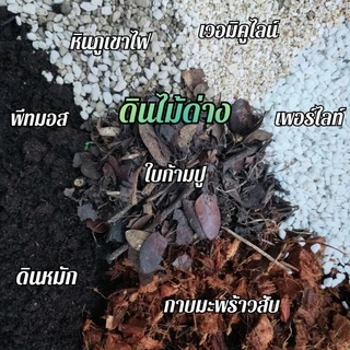 🤎 ดินผสมสำเร็จ ถุงล่ะ2kg.(กิโลกรัม)ดินแคคตัส/ดินต้นไม้ด่าง/ดินไม้ฟอกอากาศ