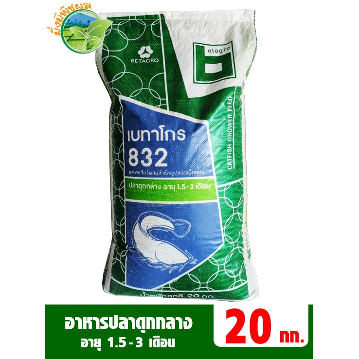 My Image 35