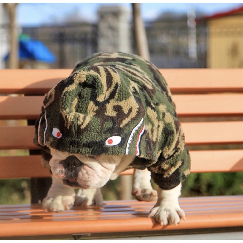 BAPE JACKET FOR PETS (รูปแบบใหญ่ภาพจริง)