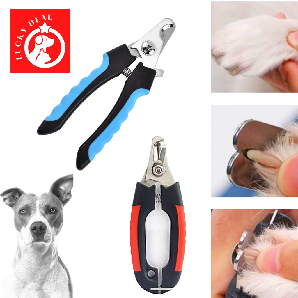 กรรไกรตัดเล็บ สุนัข แมว หมา ใช้คู่กับ เครื่องตัดขน กรรไกรตัดขน สายจูง ปลอกคอกันเลีย ที่ครอบปากสุนัข หยอดไรหู