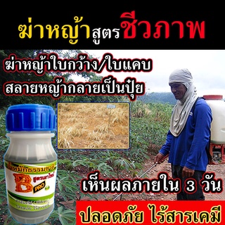 น้ำหมักธรรมชาติ เห็นผล100% สารกำจัดวัชพืช สูตรชีวภาพ สารกำจัดหญ้า ไร้สารเคมี กำจัดหญ้าใบแคบ กำจัดหญ้าใบกว้าง ยาฆ่าหญ้าแพ