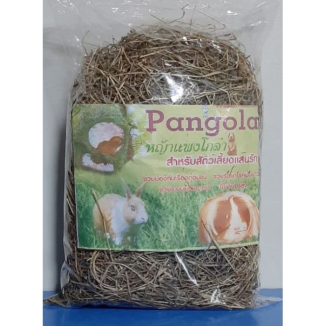 หญ้าpangola ช่วยป้องกันเรื่องก้อนขน รักษาโรคฟันยาว ช่วยระบบย่อยอาหาร ไฟเบอร์สูงสำหรับกระต่าย หนูตะเภา หนูขวัญ ขนาด 180g.