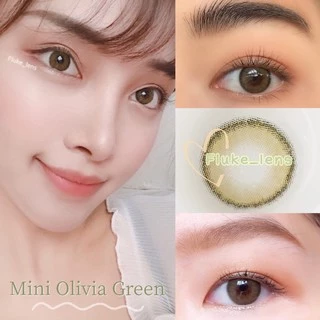 คอนแทคเลนส์ มีอย. 🫒 Mini Olivia green , brown 🫒 Kittykawaii อมน้ำ55% ยอดฮิตจากเกาหลี🇰🇷 เลนส์นิ่มบางสบายตา กรองแสง