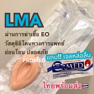 lma 🇹🇭 laryngeal mask airway LMA อุปกรณ์ช่วยทางเดินหายใจ