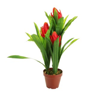 ต้นสับปะรดสีประดิษฐ์70 ซม. ARTIFICIAL BROMELIAD LALA HOME 70CM