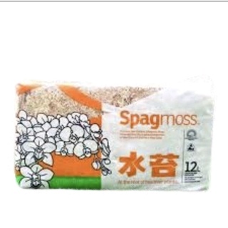 สแฟกนั่มมอส สแฟกนัมมอส นิวซีแลนด์ NZ  วัสดุปลูก ล่อราก Spagmoss 12 L.(150 กรัม) spagnum Sphagnum Moss กล้วยไม้