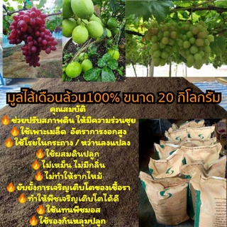 มูลไส้เดือนแท้100% กระสอบ 20 กิโลกรัม