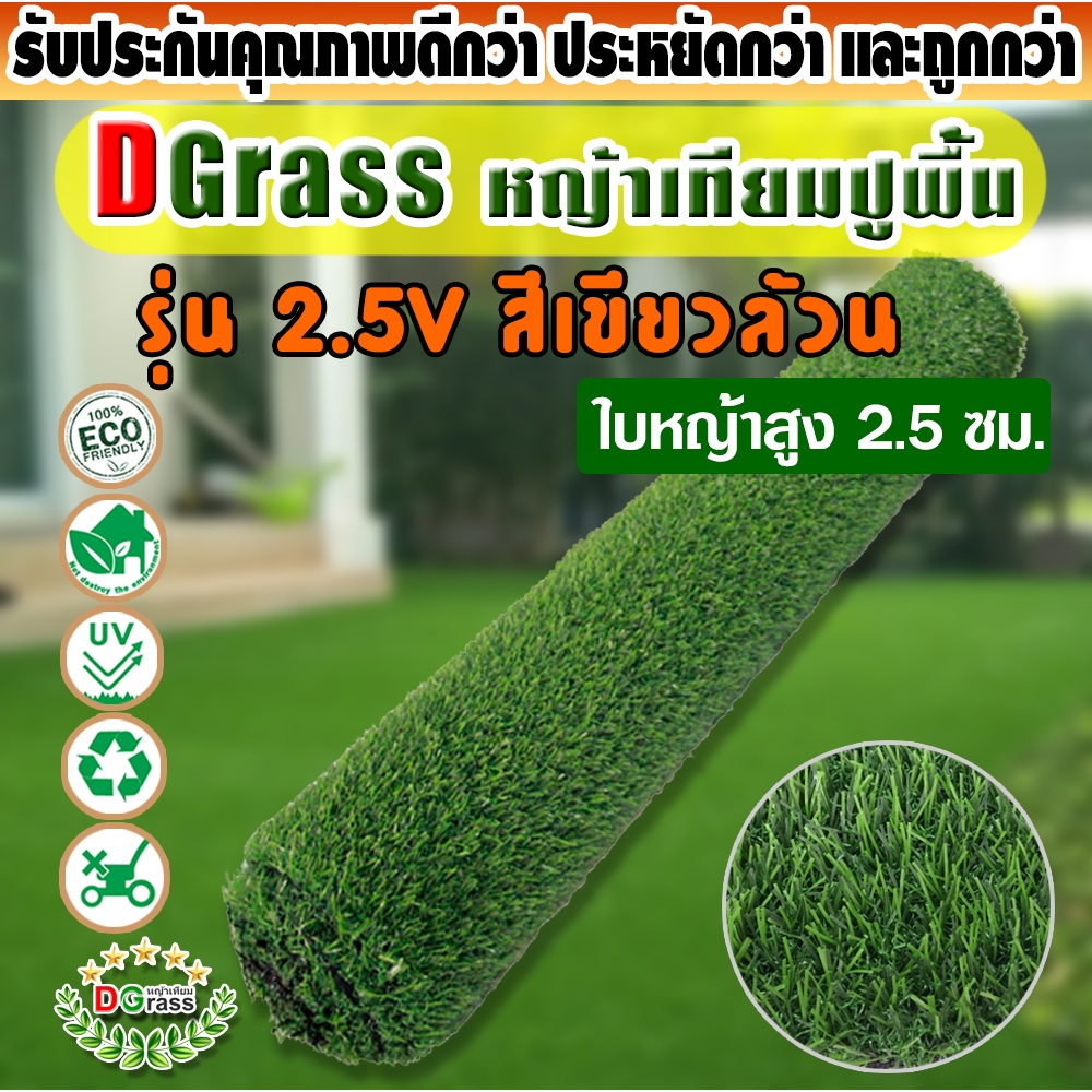 หญ้าเทียมปูพื้น Dgrass สำหรับตกแต่งสวน แต่งบ้าน หญ้าเกรดA สีเหมือนจริง ความสูง 2.5 ซม. รุ่น (2.5V เขียวล้วน)