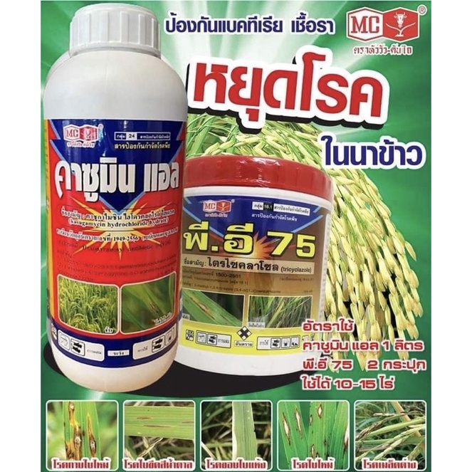 💥คาซูมินแอล💥 1 ลิตร ป้องกันกำจัด แบคทีเรีย เชื้อรา โรคใบขีดโปร่งแสง ใบไหม้ โรคเคงเกอร์ ขอบใบแห้ง ไทแบค พืช คาซูมิน แอล