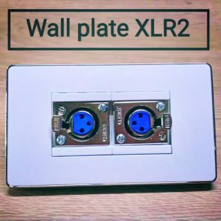 Wall plate XLR2 (หน้ากากสีขาวขอบเงิน)(รับประกัน1 ปี) ออกใบกำกับภาษีได้